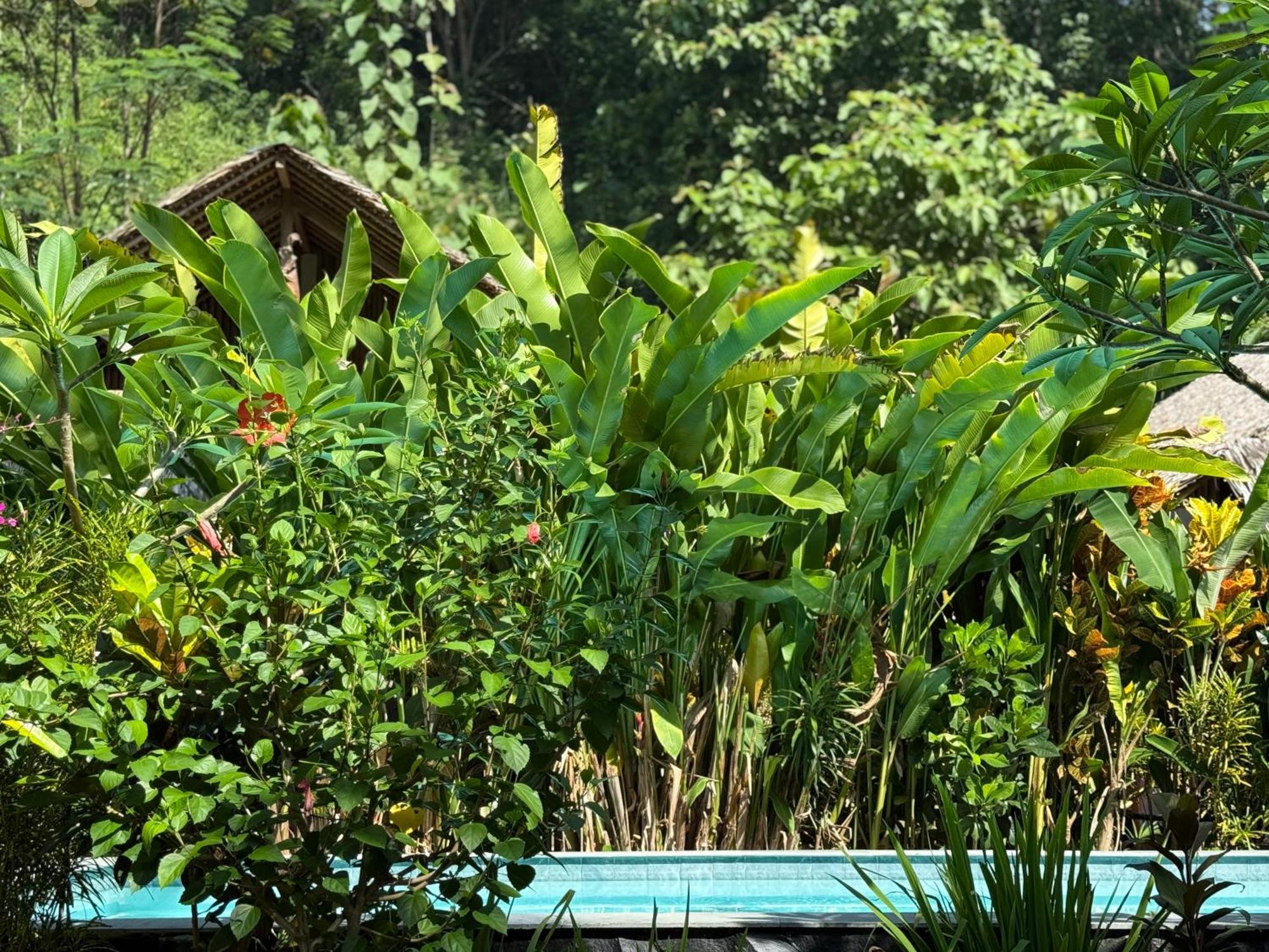 Rnv Eco Resort Bungalows Batukaras Екстериор снимка