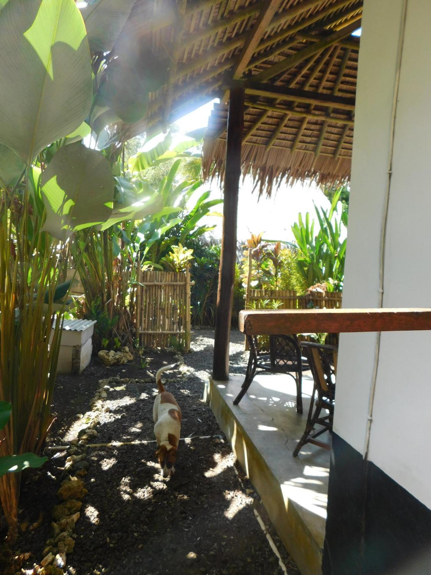 Rnv Eco Resort Bungalows Batukaras Екстериор снимка